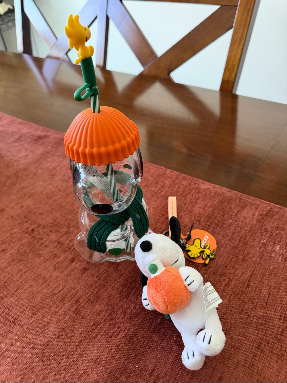 Starbucks Orange & Green Snoopy Pumpkin Cup Set